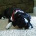 Martha Ebersole - Facebook