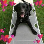 Martha Ebner - @martha.ebner.7 - Instagram