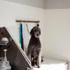 marthaeddy4 - @marthaeddy4 - TikTok