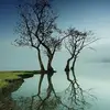 Eden Martha - @edenmartha - TikTok