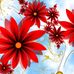 Martha Eldridge - Facebook