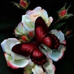Martha Eldridge - @stormyrose1952 - Instagram