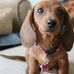 Aaliyah Martha - Facebook