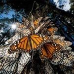 Martha - @martha_ellern - Instagram