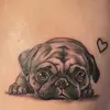 marthaelyknotts - @martha.ely.knotts - TikTok