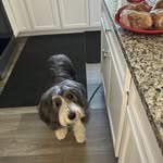 Martha Emery - @marthaem34 - Instagram