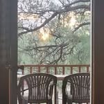 Martha Emery - @lmyellow1430 - Instagram
