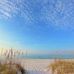Martha I. Ervin - Facebook