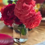 Martha Erwin - @martha5509 - Instagram