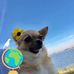 Martha Erwin - Facebook