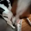 martha.erwinn - @martha.erwinn - TikTok