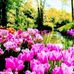 Martha Espiritu - Facebook