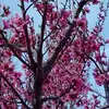 Martha Espiritu - @martha.espiritu - TikTok