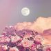 Martha Esquer - Facebook