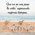 Martha Estrella - @martha.estrella.14 - Instagram