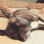 Martha Evatt - @mjoyeve - Instagram