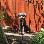 Martha Lemmons Farrow - @martha.farrow.1268 - Instagram