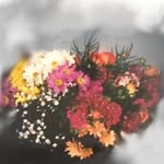 Martha Fenner - @fennerbydesign - Instagram
