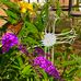 Martha Fields - Facebook