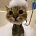 Martha Fielding - Facebook