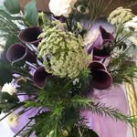 Martha Fiorentino - @martha.fiorentino.9 - Instagram
