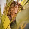Martha Lia Fiorena - @marthaliafiorena - TikTok