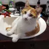 marthaflanagangro - @marthaflanagangro - TikTok