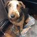 Martha Fredrickson - Facebook