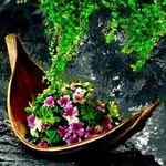 Martha Freire Constante - @marthaceciliafreire - Instagram