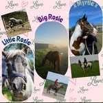 Martha George - @life.with.lazy.ponies - Instagram