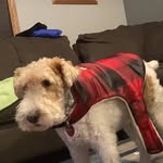 Martha Gorman - @nanamart56 - Instagram
