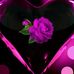 Martha Graber - Facebook