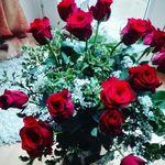 Martha Graf - @martha.graf42 - Instagram