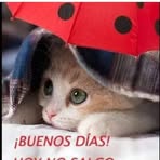 Martha Grillo - Facebook