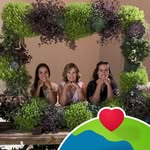 Martha Guess Rector - @marthajrector - Instagram