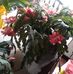 Martha Guillory - Facebook