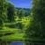subbaraya sastry - @marthaguillory52 - Instagram