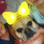 Martha Gurrola - @gurrola3167 - Instagram