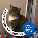 Martha Kennedy Guyer - @guyermartha - Instagram