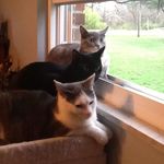 Martha Hager - @marthahager49 - Instagram