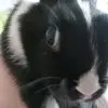 tabithamarthamaryhalford - @tabithamarthamaryhalford - TikTok