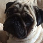 Martha Hammond - @martha.hammond.9212 - Instagram
