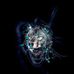 Martha Hammett - Facebook