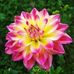 Martha Hammett - Facebook