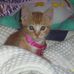 Martha Hand - Facebook