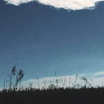 Martha Handritzke - @martha.handritz - Instagram