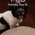 Martha Handy - Facebook