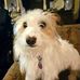 Martha Hatcher - Facebook