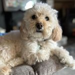 Martha Torres Hatcher - @sleepiemama - Instagram