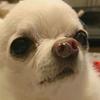 martha_hazel - @martha_hazel - TikTok
